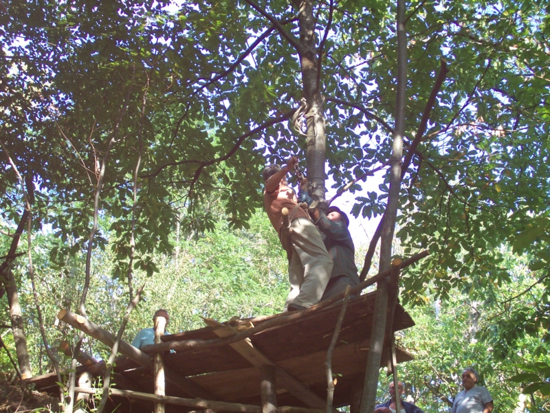  Image name: Persone108.jpg 
 width: 800 pixel 
 height: 601 pixel 
 Size: 610020 bytes 
 Click to enlarge 